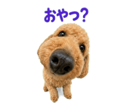 881168874