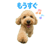 881168889
