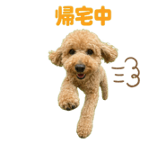 881168890