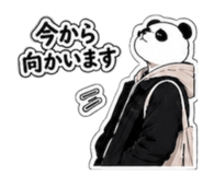 881169495