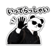881169503