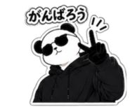 881169509