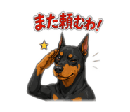 881172304