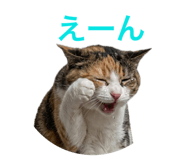 881172835