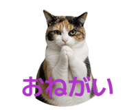 881172845