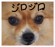 881173129
