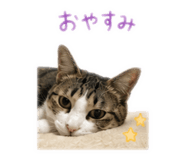 881173140