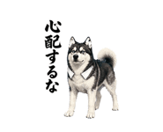 881175580