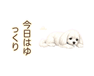 881175996