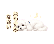 881176008