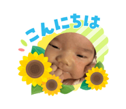 881181343