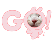 881181861