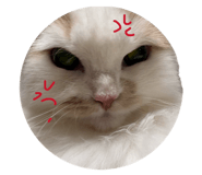 881181863