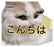 881181865