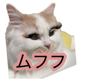 881181877