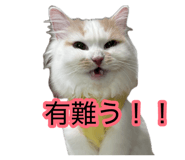 881181880