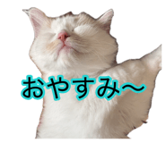 881181881