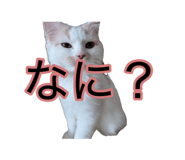 881181882