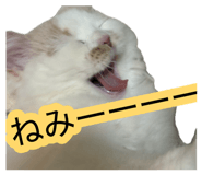 881181885