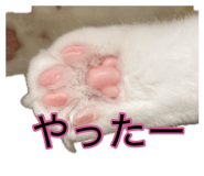 881181889