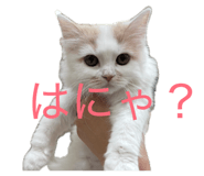 881181890