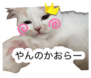 881181891