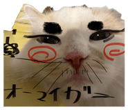 881181892
