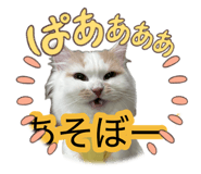 881181896