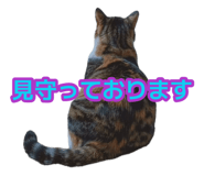 881182448
