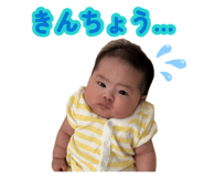 881182502