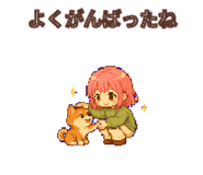 881187517