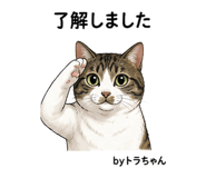 881187860