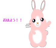 881188377