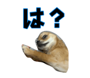 881188844