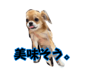 881188847