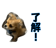 881188848