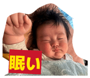 881191519