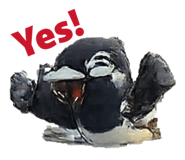 881191965