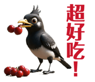 881191974