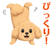 881192027