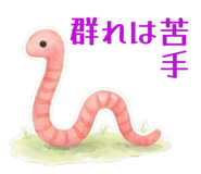 881192156