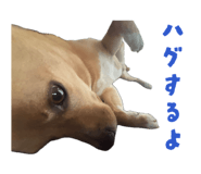 881195808