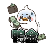 881197834