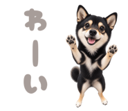 881217787