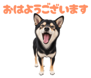 881217789