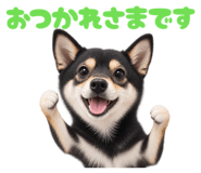 881217791