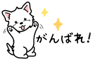 881226289