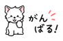 881226290