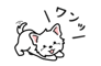 881226291