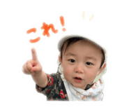 881234366